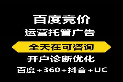 SEM主管实战：数据分析与策略调整